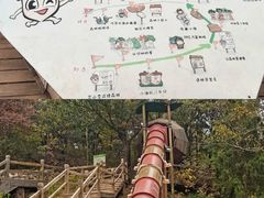 -北京西山国家森林公园