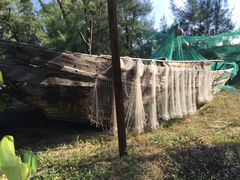 -北海金海湾红树林生态旅游区