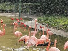 -石家庄市动物园