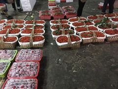 -菜园坝水果市场