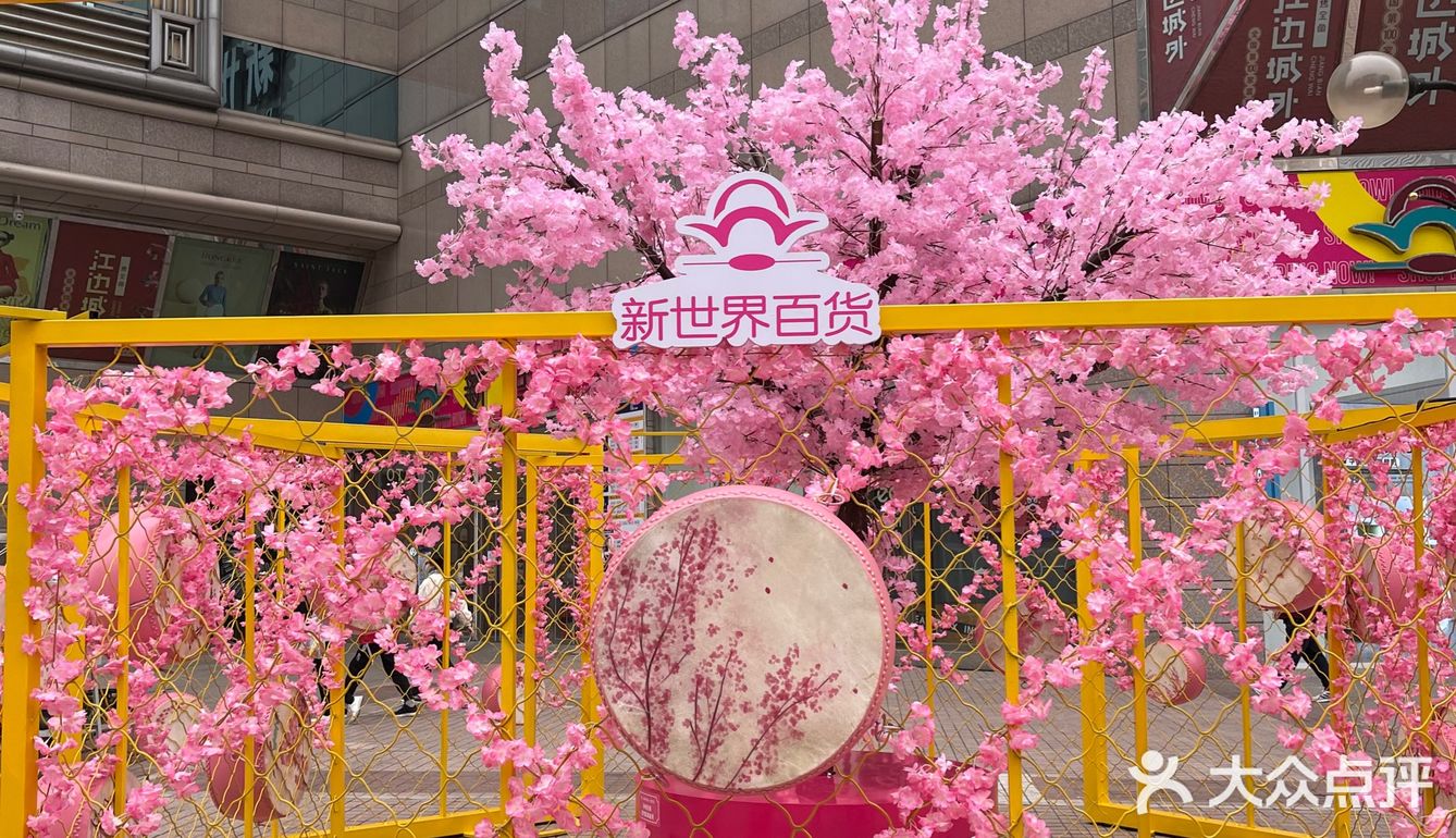 满树樱花朵朵开，花花世界的，出来逛街啊