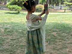 -洛阳郁金香牡丹园