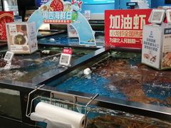 水产区-盒马鲜生(丁香国际店)
