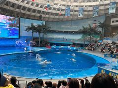 -海合安成都极地海洋公园