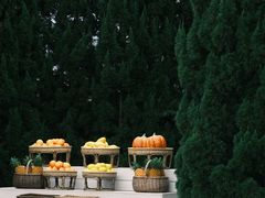 -Blue Concept Cafe&Farm·關於藍