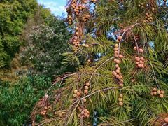 -玄武湖景区-情侣园游乐场