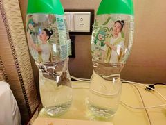 -上海浦东星河湾酒店