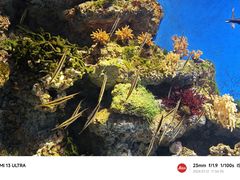 -新加坡海洋生态馆