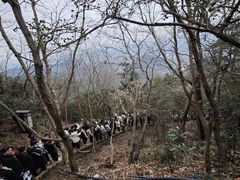 -灵顺寺