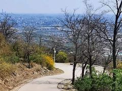 -北京西山国家森林公园