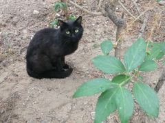 -长辛店二七公园