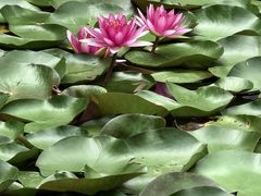 -白塘生态植物园