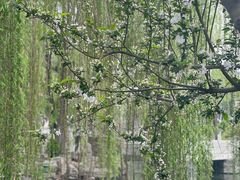 -莲池书院博物馆