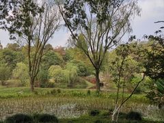 -杭州植物园