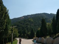 -龙口南山旅游景区