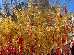 -石岛赤山风景区