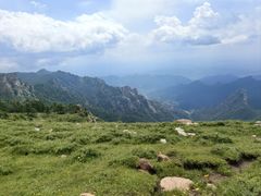 -芦芽山旅游度假区