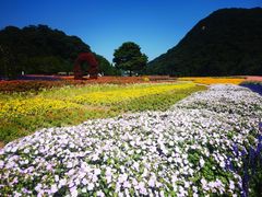 -广州市石门国家森林公园