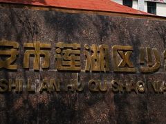 -陕西省小天鹅艺术团