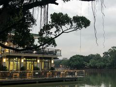 -公园茶楼粤式点心