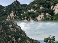 -大岭沟猕猴桃谷风景区