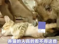 -昆明动物园