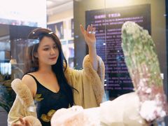 -天津梅江会展中心
