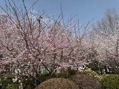 -燕莎友谊商城(亮马桥店)