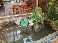 -三道苗苗鱼·美蛙黄辣丁(八里店)