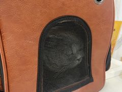-伟伟宠物医院·CT影像中心·瑞派犬猫综合性门诊(汉口总院)