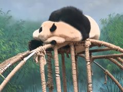 -杭州动物园