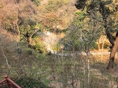 -桃花涧