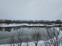 -东郊湿地公园