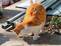 -狼山风景名胜区