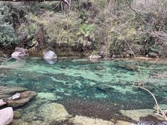 -黄山翡翠谷景区