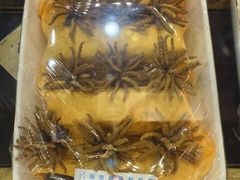 -固生堂中医连锁·推拿正骨·针灸艾灸(崇安寺分院)