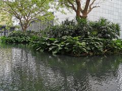 -三亚太阳湾柏悦酒店
