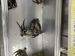 -明记烧鱼美味店