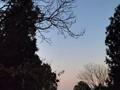 -八大处公园