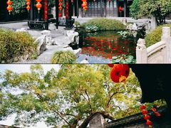 -溱湖国家湿地公园