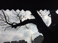 -龙潭水乡