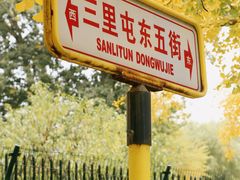 -三里屯东五街银杏大道