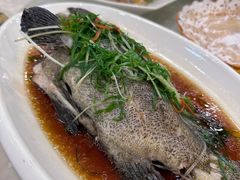 清蒸老虎斑鱼-四海之家(蛇口店)