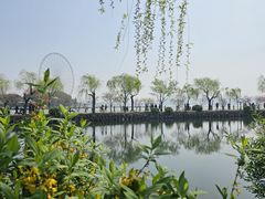 -无锡蠡湖国家湿地公园-蠡园