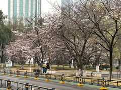 -西北湖绿化广场