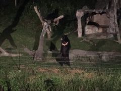 -清迈夜间动物园