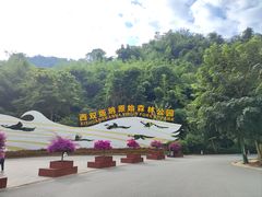 -西双版纳原始森林公园