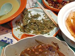-向外鱼乐·土菜·虹鳟鱼