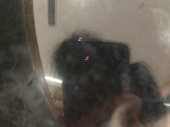 -艾贝尔宠物医院·24H转诊中心·肿瘤猫专科(江宁双龙店)