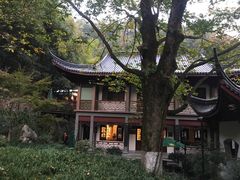 -十八棵（老龙井）御茶园(老龙井店)
